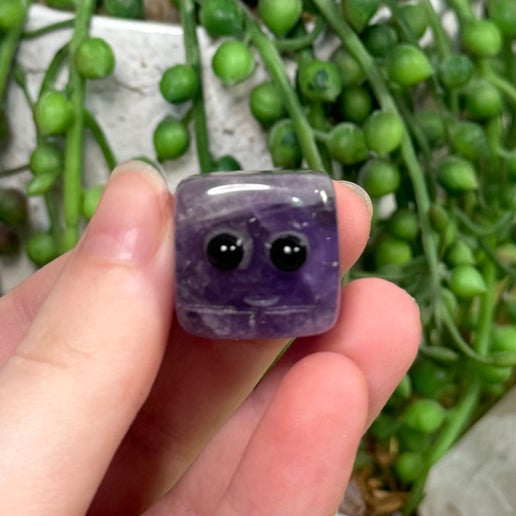 Dream Amethyst Pet Rocks