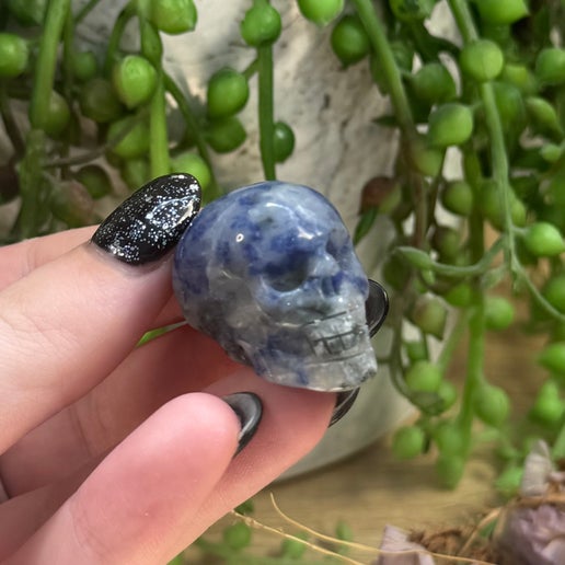 Blue Dot Small Skull