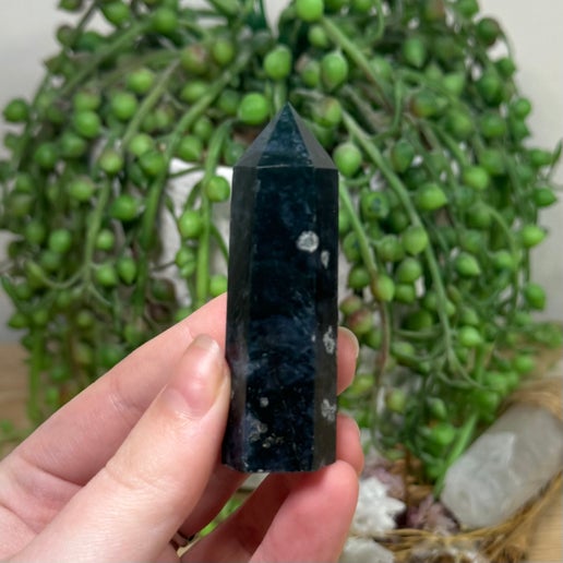 Moss Agate Point (K331)