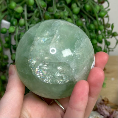 Green Fluorite Sphere (L810)