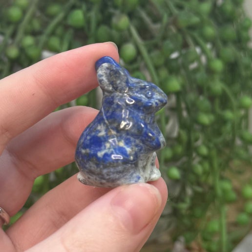 Lapis Lazuli Bunny (G315)