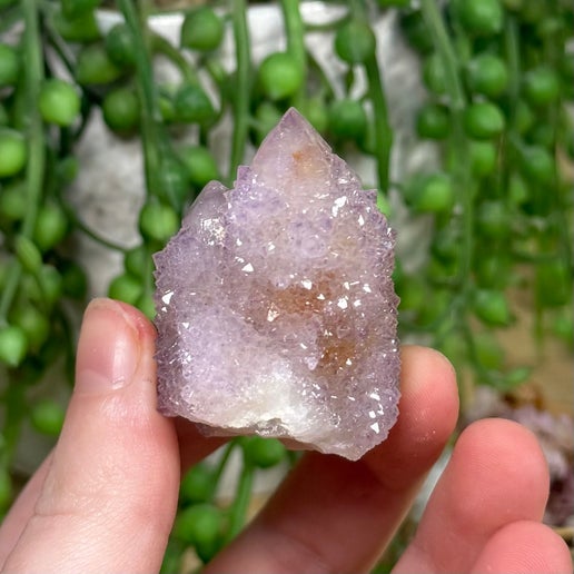 Spirit Quartz Cluster (I747)