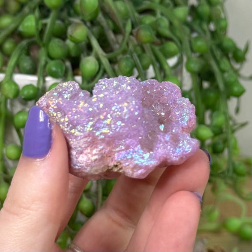 Purple Aura Quartz Geode (K897)