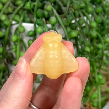 Yellow Calcite Bee