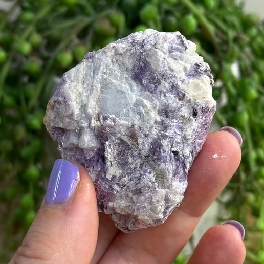 Purple Mica Raw 2