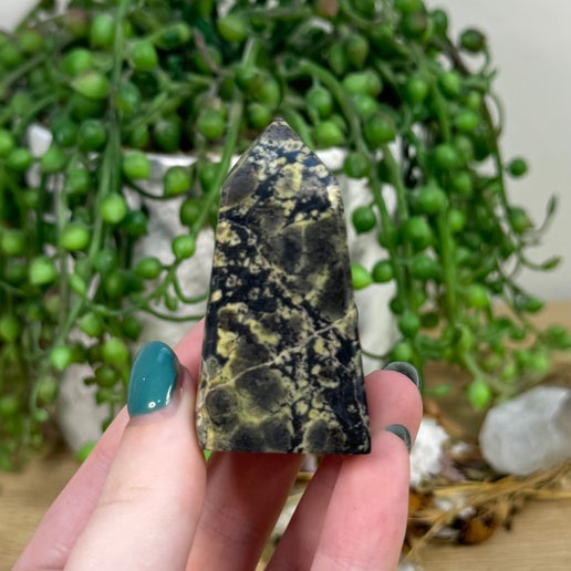 Snake Skin Serpentine Point (D580)