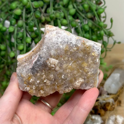 Citrine / Quartz Cluster (I788)