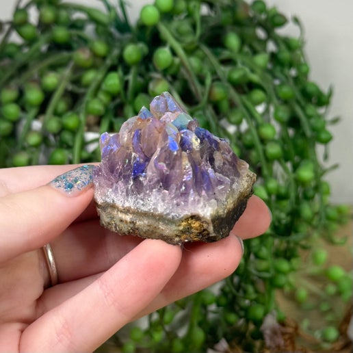 Aura Amethyst Cluster (K951)