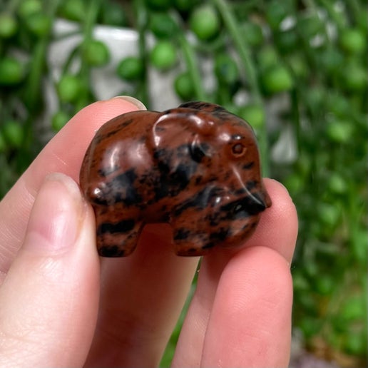 Mahogany Obsidian Elephant (J360)