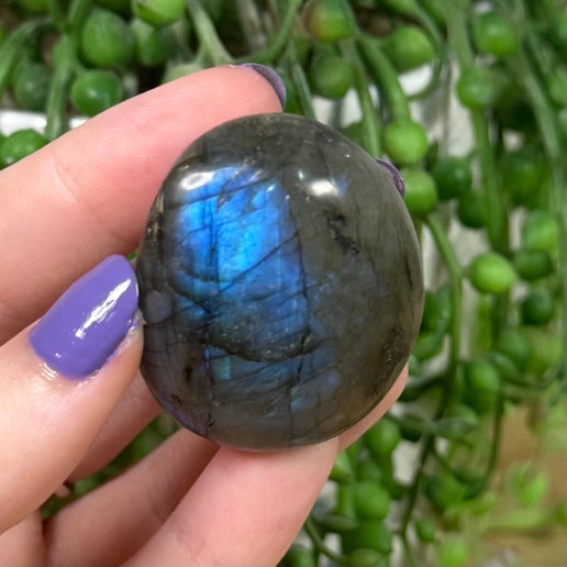 Labradorite Palm Stone (K855)