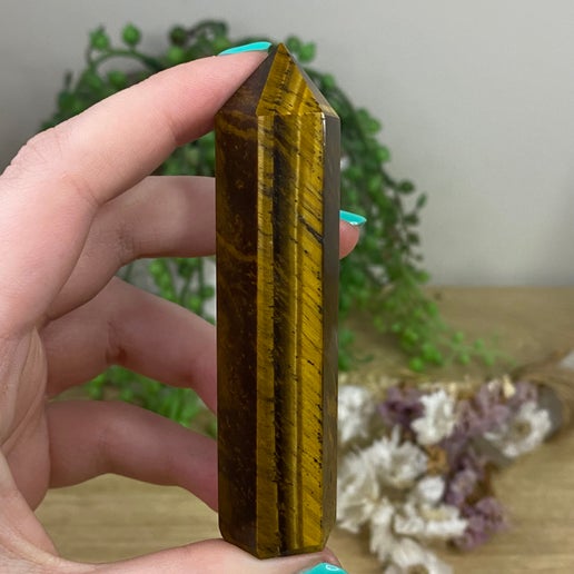 Tiger Eye Point (A391)