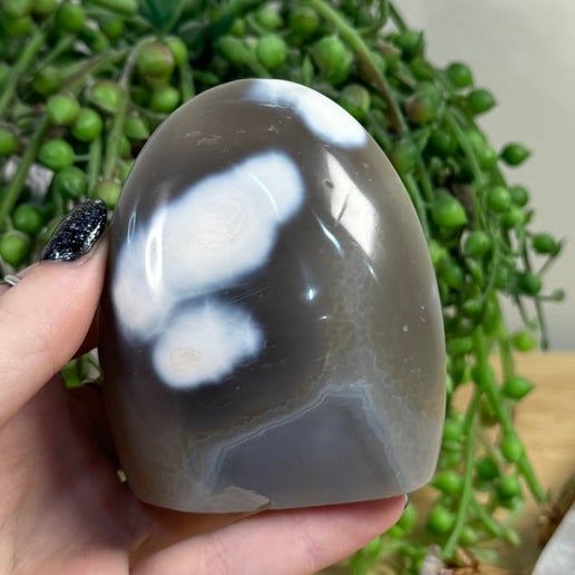 Orca Agate Arch Free Form (F40)