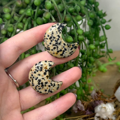 Dalmatian Jasper Moon Air Vent Car Clip