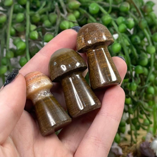 Brown Aragonite Medium Mushrooms