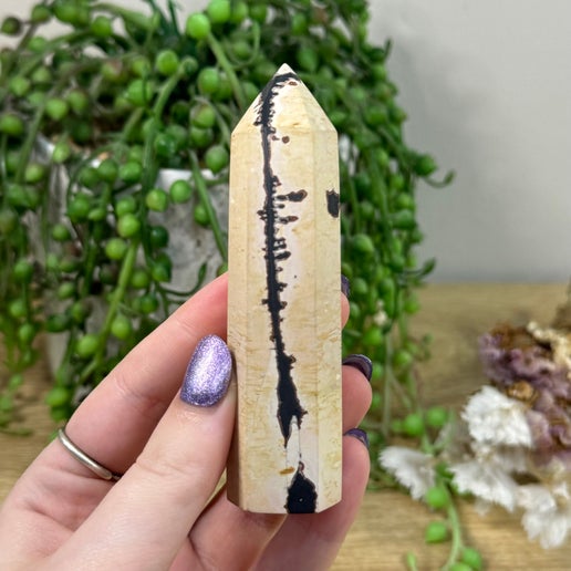 Picture Stone Jasper point (B128)