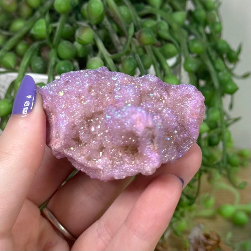 Purple Aura Quartz Geode (K903)