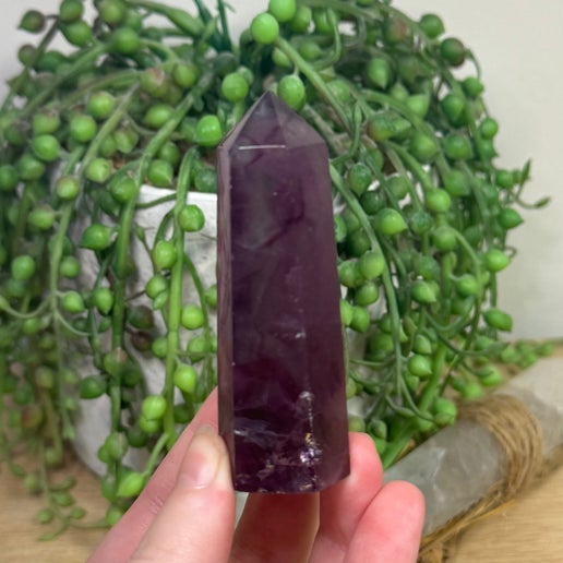 Purple Fluorite Point (L545)