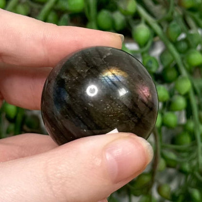 Labradorite Sphere (920A)