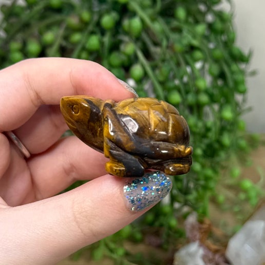 Tiger Eye Turtle (C391) (H913)