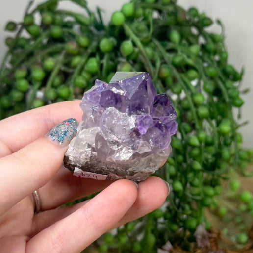 Aura Amethyst Cluster (K953)