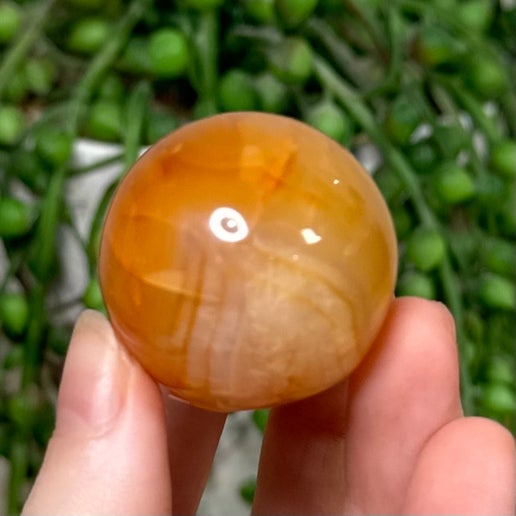 Carnelian Sphere 14