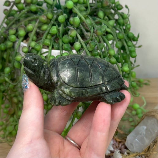 Green Jade Turtle (C564)