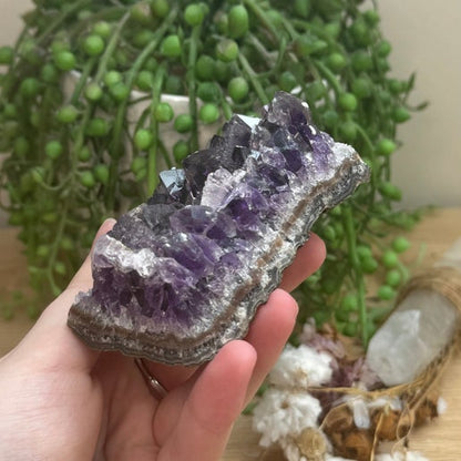 Amethyst Cluster (G104)