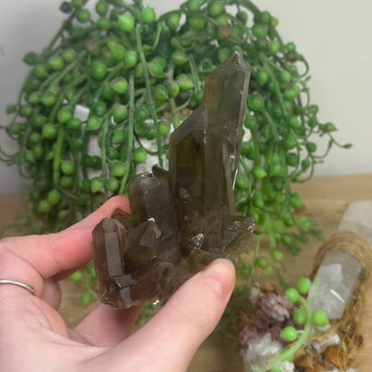 Smokey Quartz Cluster (L865)