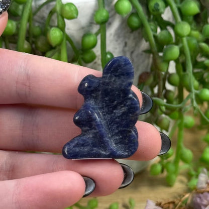 Sodalite Pixie (I25)