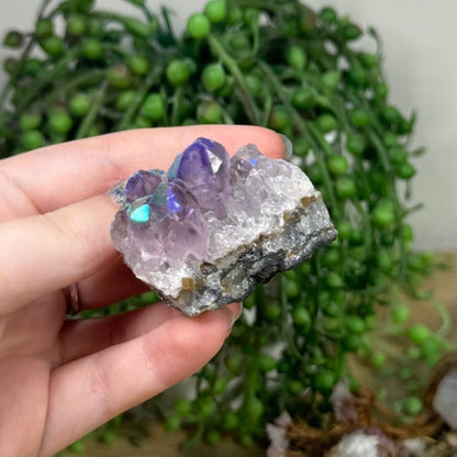 Aura Amethyst Cluster (K964)