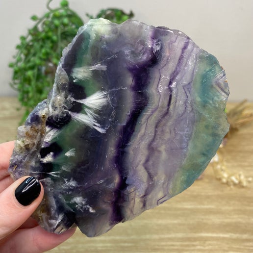 Rainbow Feather Fluorite Slab (B584)