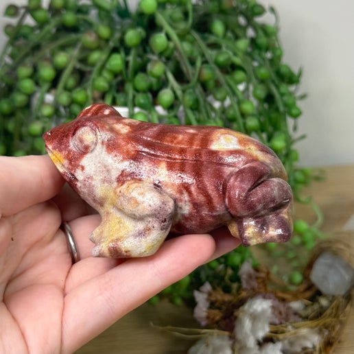 Stripey Agate Frog (L53)