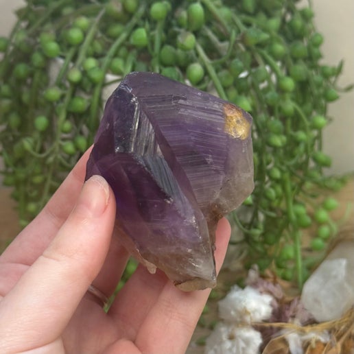 Amethyst Root (J738)