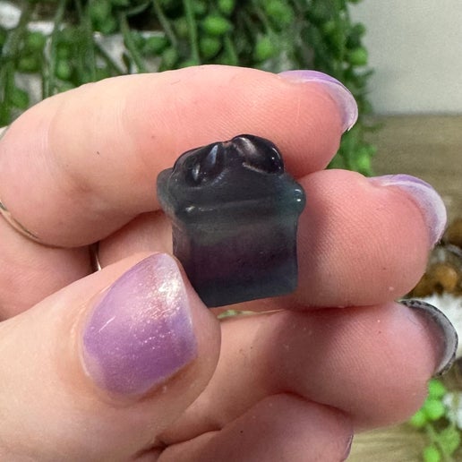 Fluorite Mini Present