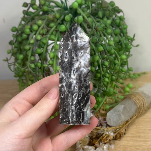 Sphalerite Point (F49)