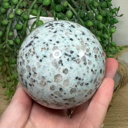 Kiwi Jasper Sphere (G484) (G482) (H549) (G483)