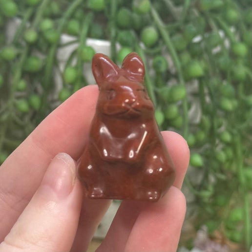 Red Jasper Bunny (K324)
