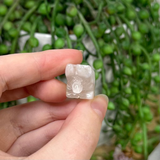 Flower Agate Small Triceratops
