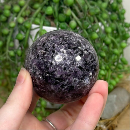 Purple Mica Sphere (H803)