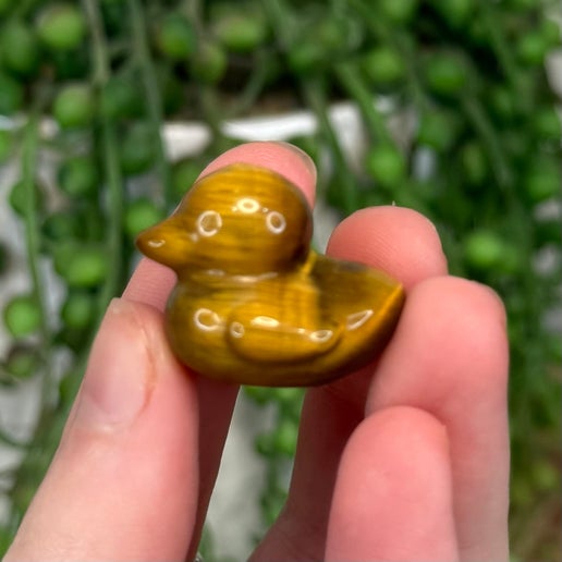 Tiger Eye Small Duck