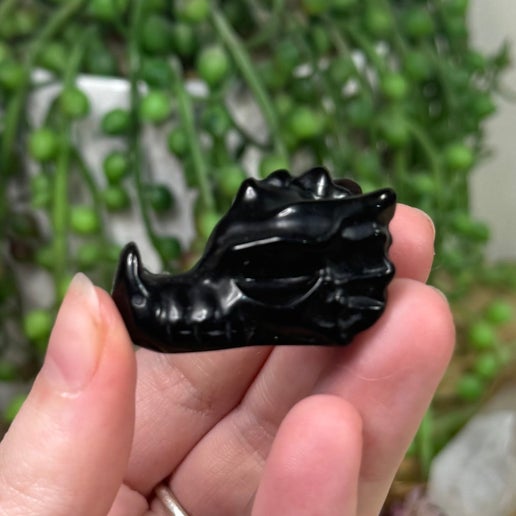 Black Obsidian Small Dragon Head