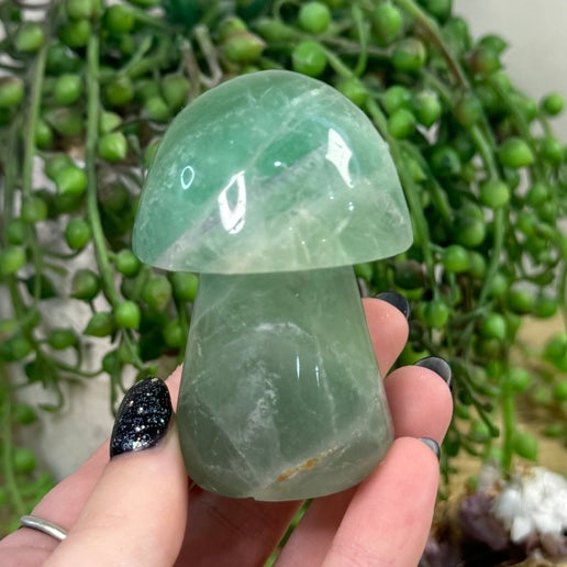 Green Feather Fluorite Mushroom (E366)