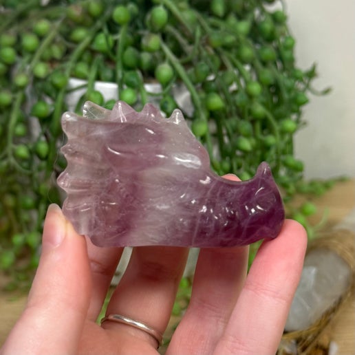 Purple Fluorite Dragon Head (E808)