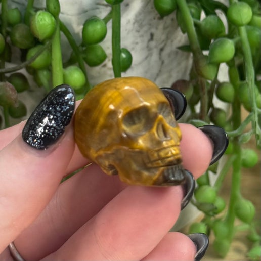 Tiger Eye Small Skulls