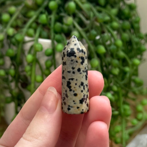 Dalmatian Jasper Small Point