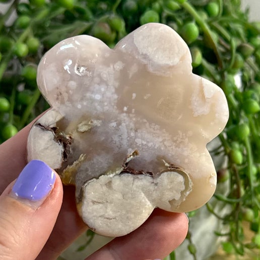Flower Agate Flower (B329)