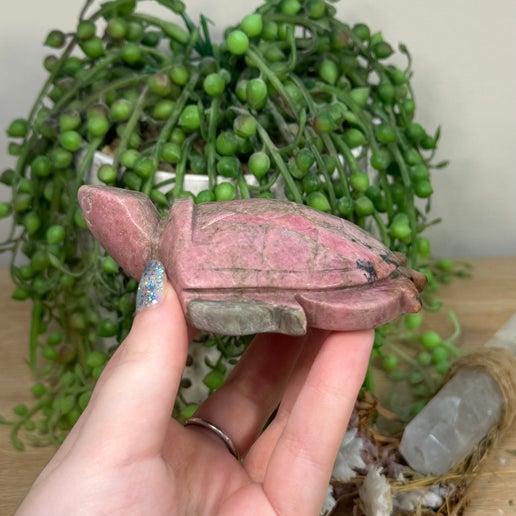 Rhodonite Turtle (I979)