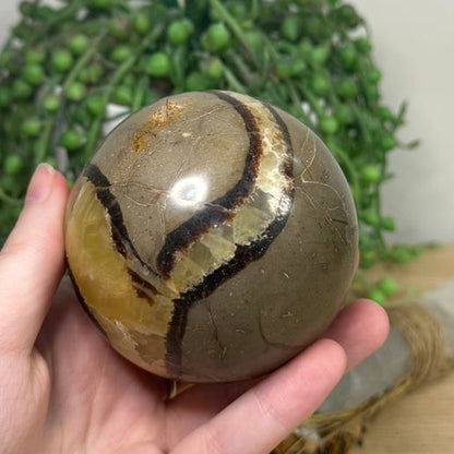 Septarian Sphere (J303)