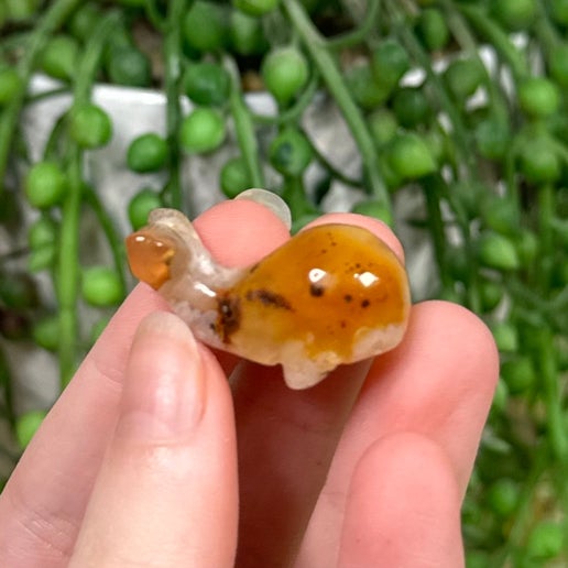 Flower Agate Small Whale