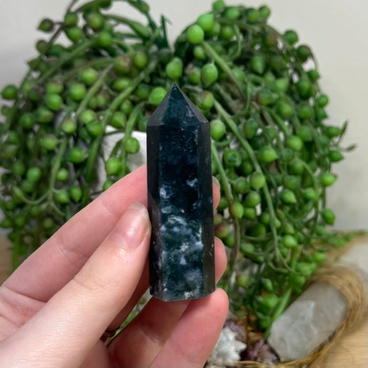 Moss Agate Point (K337)